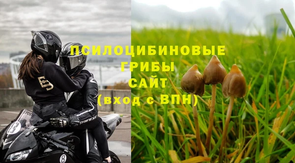 спиды Осташков