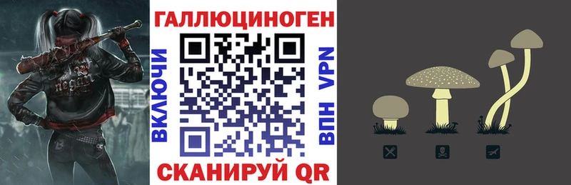 как найти наркотики Аксай Псилоцибиновые грибы Psilocybine cubensis